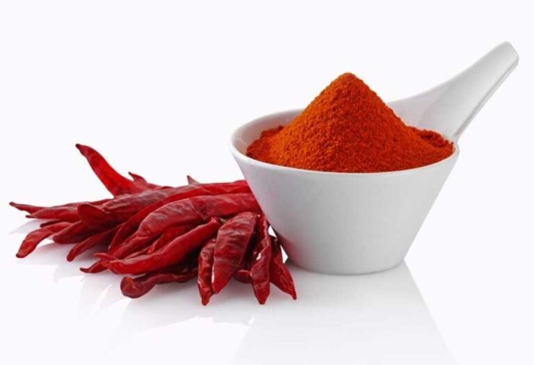 red chilli foods masala